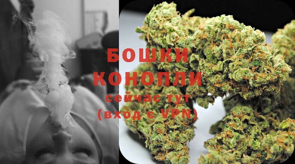 гидропоника Белоозёрский