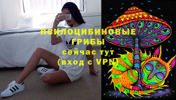 первитин Белокуриха