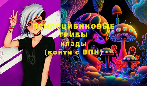 гидропоника Белоозёрский
