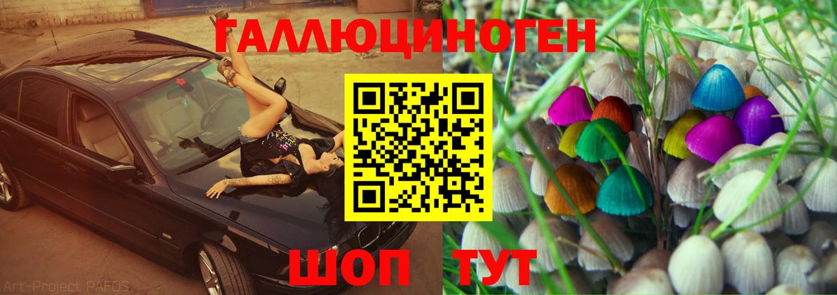 Псилоцибиновые грибы мухоморы Гудермес