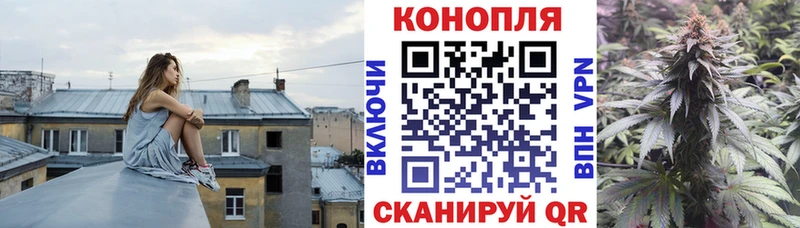 МАРИХУАНА планчик  Гудермес 